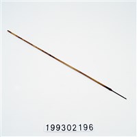 藏品(箭)的圖片