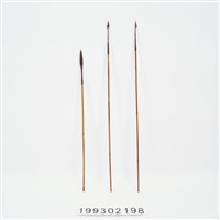 藏品(箭)的圖片
