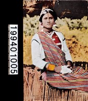 藏品(明信片)的圖片