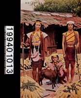 藏品(明信片)的圖片