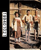 藏品(明信片)的圖片