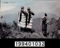 藏品(明信片)的圖片