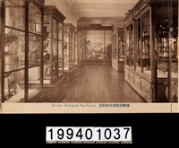 藏品(明信片)的圖片