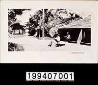 藏品(明信片)的圖片