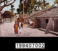 藏品(明信片)的圖片