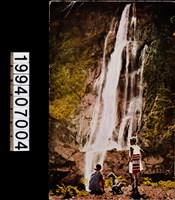 藏品(明信片)的圖片