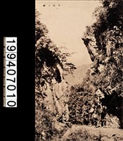 藏品(明信片)的圖片