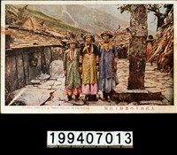 藏品(明信片)的圖片