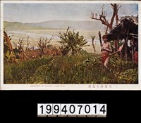 藏品(明信片)的圖片