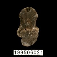 藏品(石網墜)的圖片