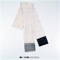 藏品(丁字帶)的圖片