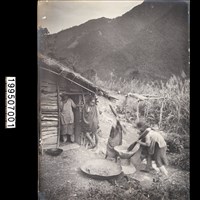 藏品(明信片)的圖片