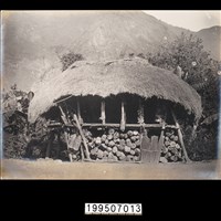 藏品(明信片)的圖片