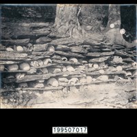 藏品(明信片)的圖片