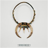 藏品(山豬牙項飾)的圖片