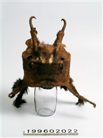 藏品(皮帽)的圖片