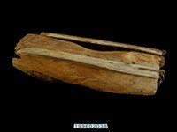 藏品(拖板)的圖片