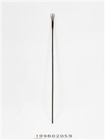 藏品(箭)的圖片