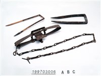 藏品(捕獸器)的圖片