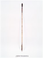 藏品(箭)的圖片