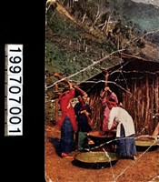 藏品(明信片)的圖片