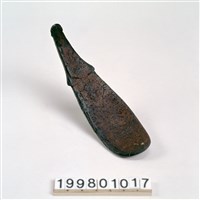 藏品(椰殼匙)的圖片