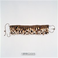 藏品(獸牙頸飾)的圖片