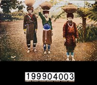 藏品(明信片)的圖片