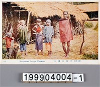 藏品(明信片)的圖片