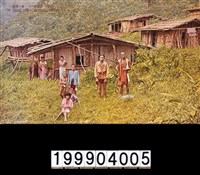 藏品(明信片)的圖片