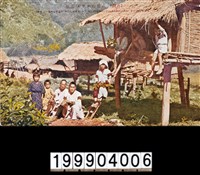 藏品(明信片)的圖片