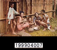 藏品(明信片)的圖片