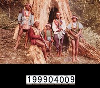 藏品(明信片)的圖片