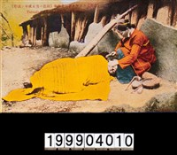 藏品(明信片)的圖片