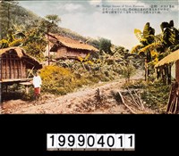 藏品(明信片)的圖片