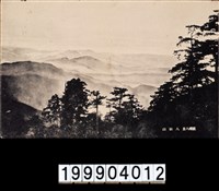 藏品(明信片)的圖片