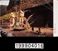 藏品(明信片)的圖片