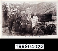 藏品(明信片)的圖片