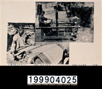 藏品(明信片)的圖片