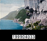 藏品(明信片)的圖片