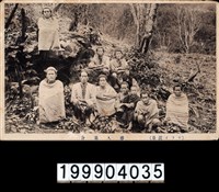 藏品(明信片)的圖片