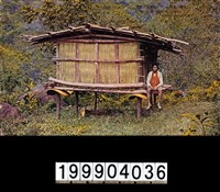 藏品(明信片)的圖片