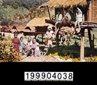 藏品(明信片)的圖片