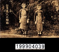 藏品(明信片)的圖片