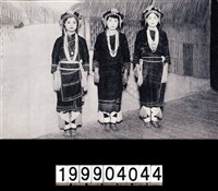 藏品(明信片)的圖片