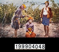 藏品(明信片)的圖片