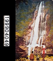 藏品(明信片)的圖片