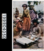 藏品(明信片)的圖片