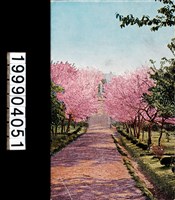 藏品(明信片)的圖片