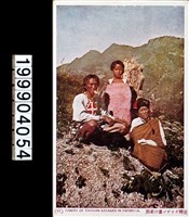 藏品(明信片)的圖片